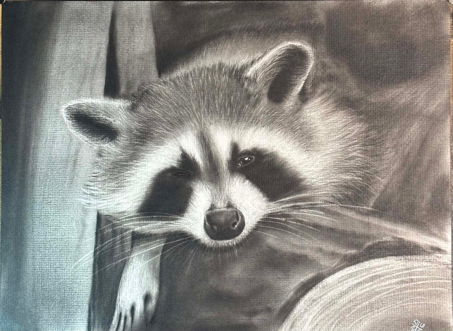Raccoon Animal Charcoal Art Print Wall Hanging Home Decor Wildlife