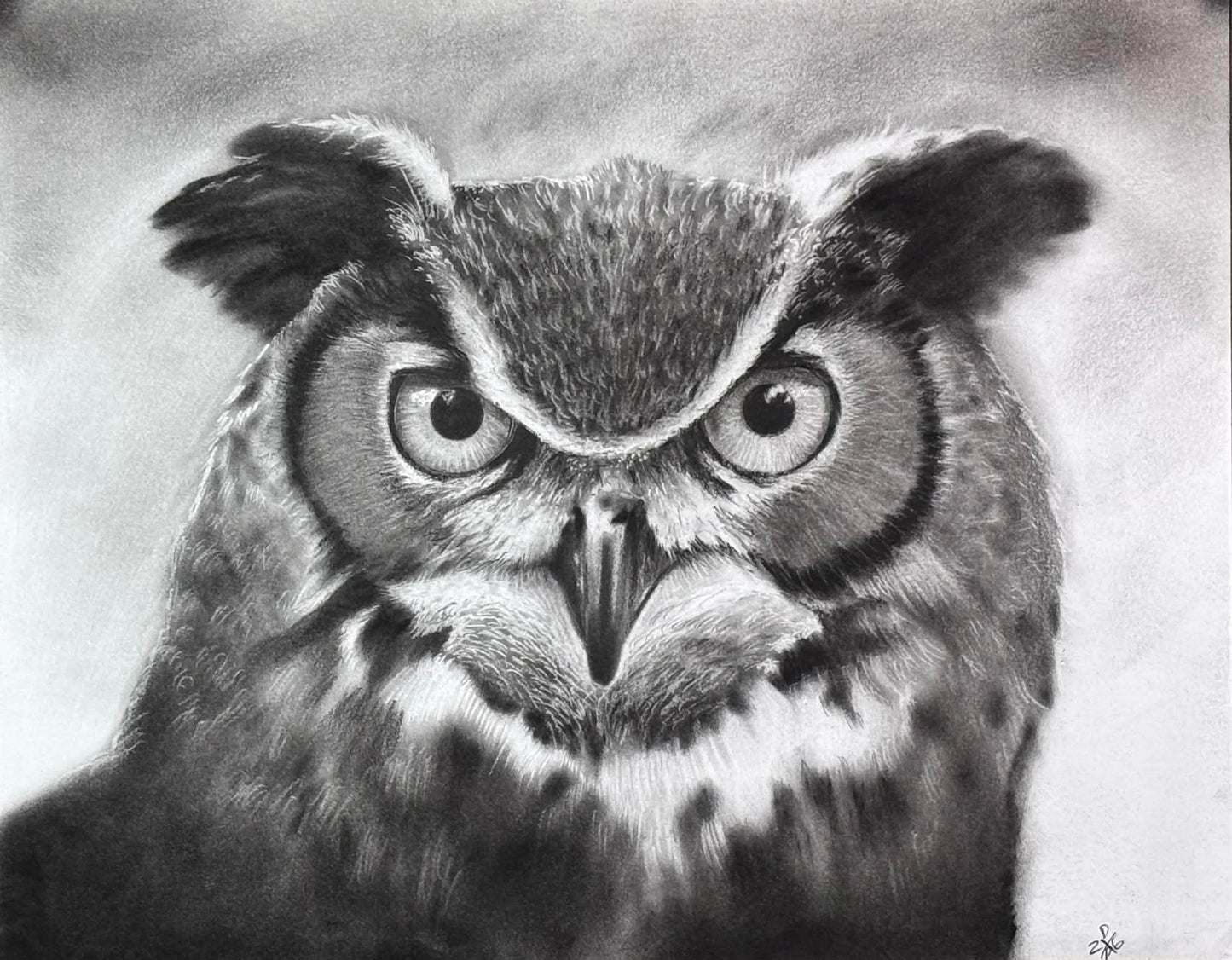 Owl Animal Charcoal Art Print Wall Hanging