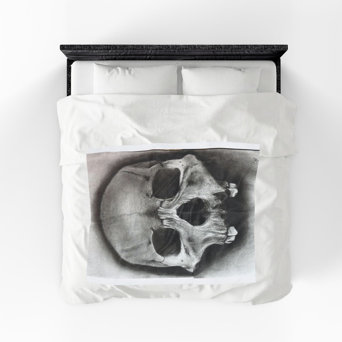 Skull Drawing Velveteen Plush Blanket | Anatomical Skull Artwork