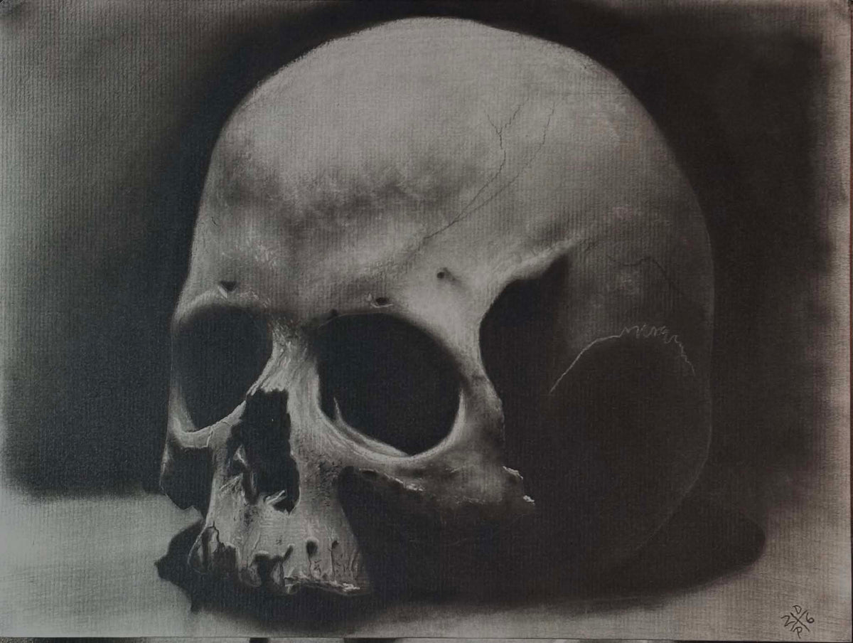ORIGINAL Half Skull Charcoal Art Print Wall Hanging Home Decor