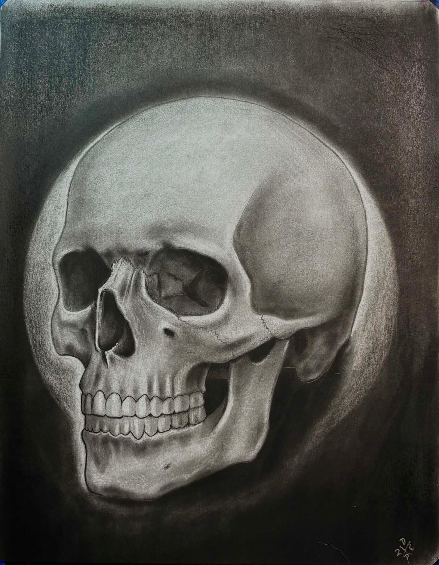 Original Art Skull Charcoal Art Print Wall Hanging Home Decor
