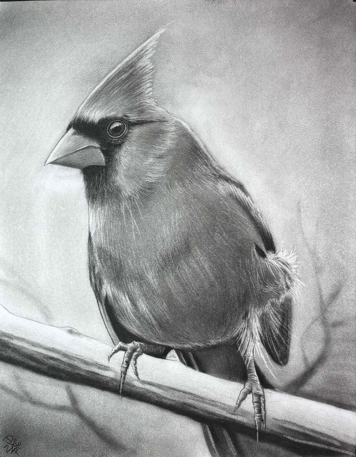 Cardinal Bird Animal Charcoal Art Print Wall Hanging
