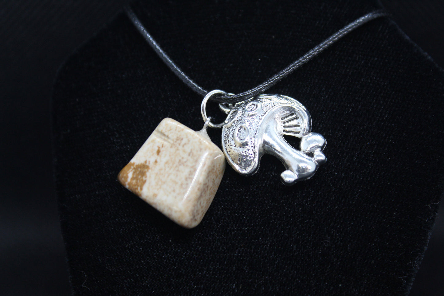 Picture Jasper Mushroom Necklace Crystal Witch Witchy Jewelry Witchcraft Wicca Wiccan Pagan Metaphysical