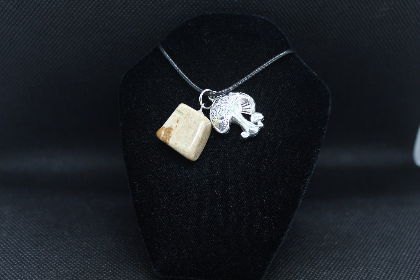 Picture Jasper Mushroom Necklace Crystal Witch Witchy Jewelry Witchcraft Wicca Wiccan Pagan Metaphysical