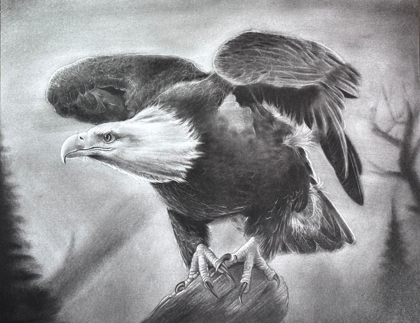 Eagle Bird Animal Charcoal Art Print Wall Hanging