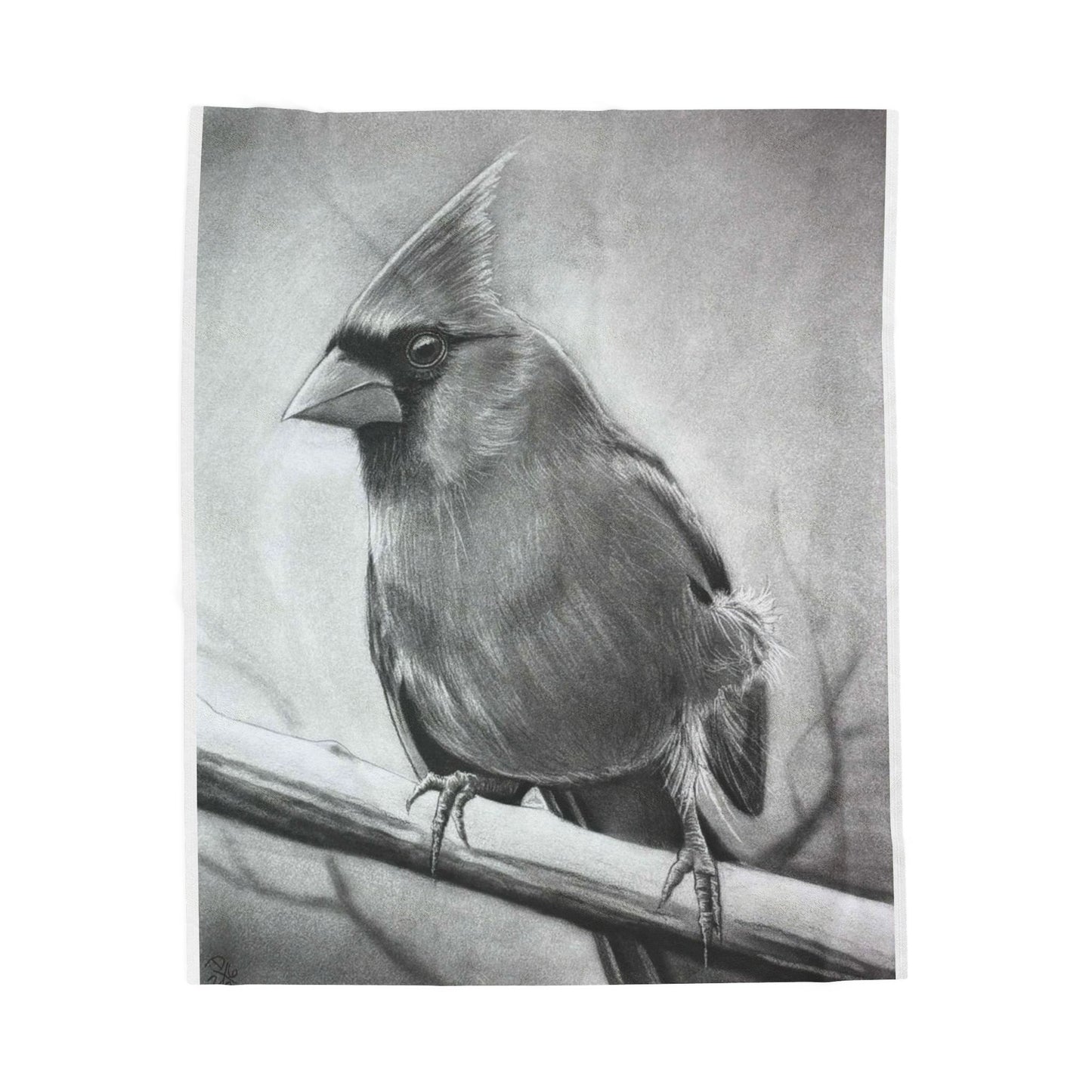 Original Art Cardinal Bird Velveteen Plush Blanket Home Decor Throw