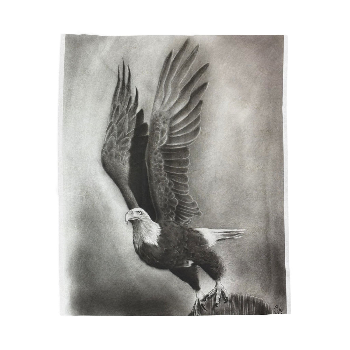 Original Art Eagle Bird Plush Blanket Velveteen Soft Throw Home Decor