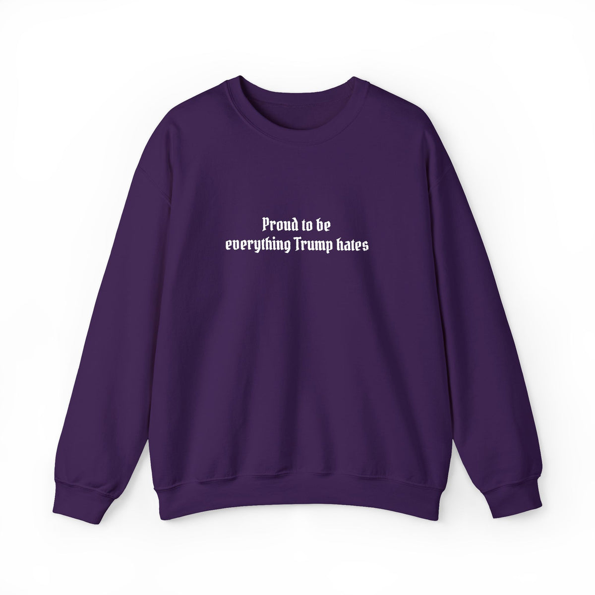 Proud to Be Everything Trump Hates Embroidered Sweatshirt Political Crew Neck Unisex Clothing Anti Maga