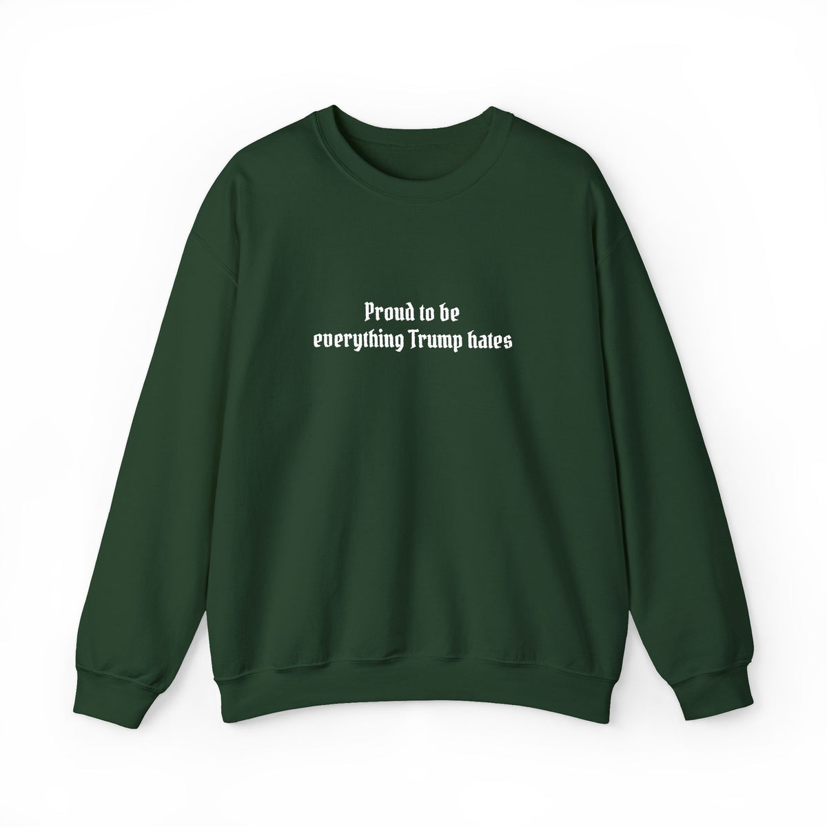 Proud to Be Everything Trump Hates Embroidered Sweatshirt Political Crew Neck Unisex Clothing Anti Maga