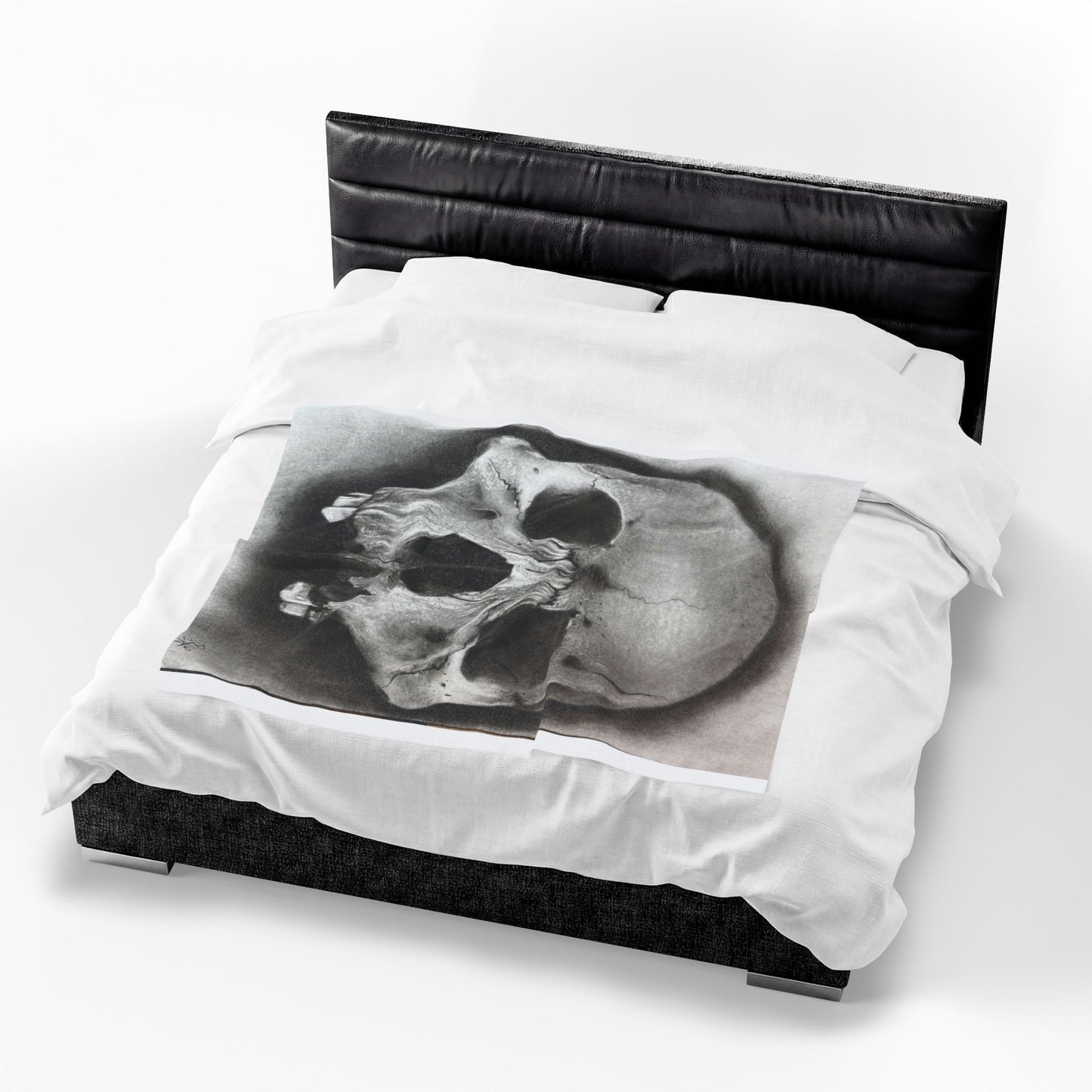 Skull Drawing Velveteen Plush Blanket | Anatomical Skull Artwork
