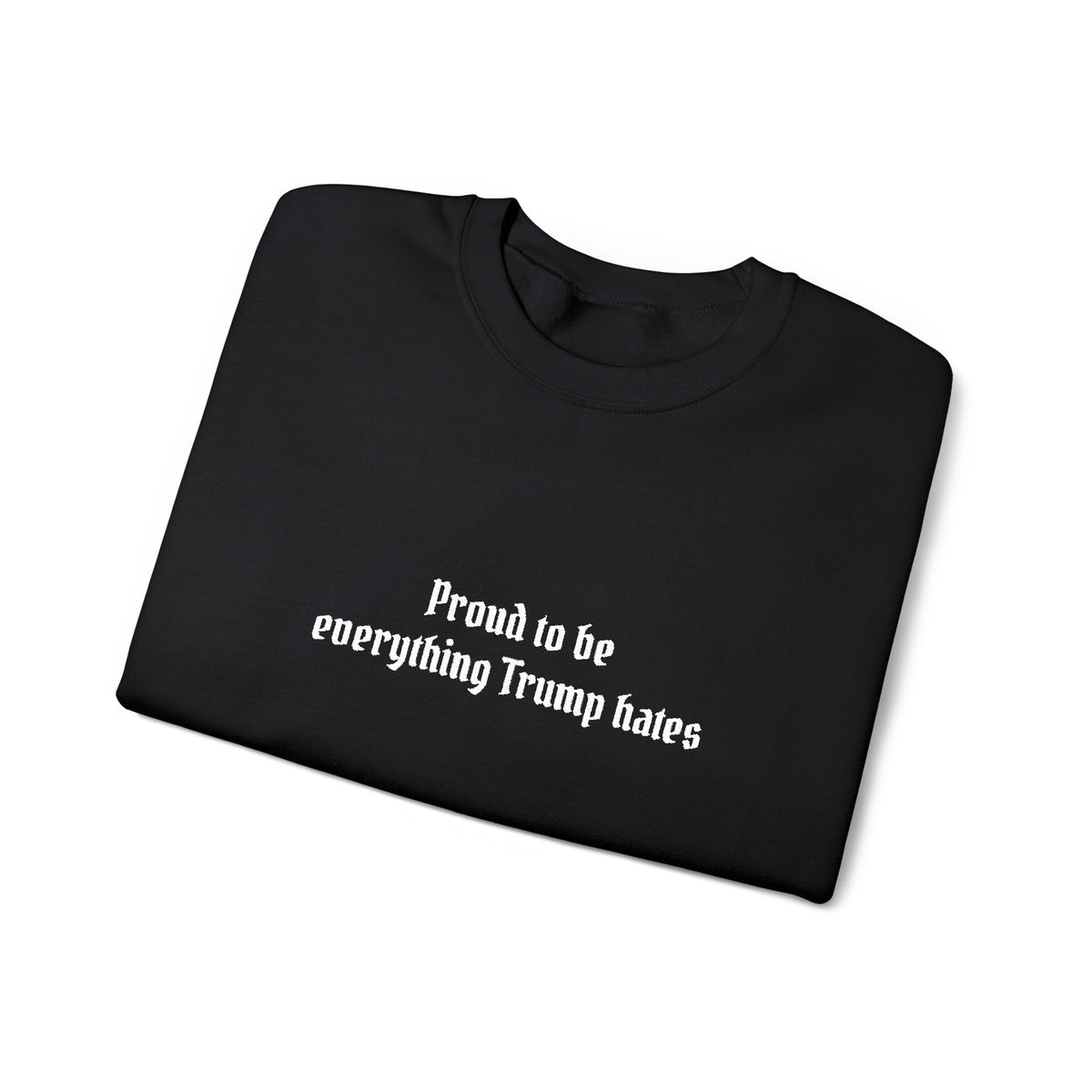 Proud to Be Everything Trump Hates Embroidered Sweatshirt Political Crew Neck Unisex Clothing Anti Maga