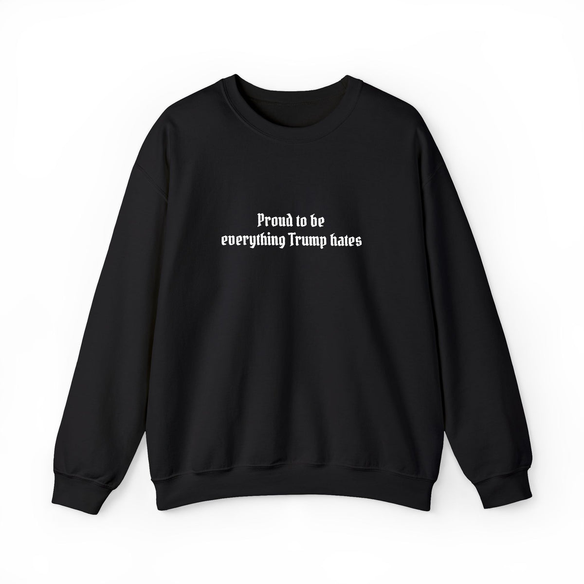 Proud to Be Everything Trump Hates Embroidered Sweatshirt Political Crew Neck Unisex Clothing Anti Maga