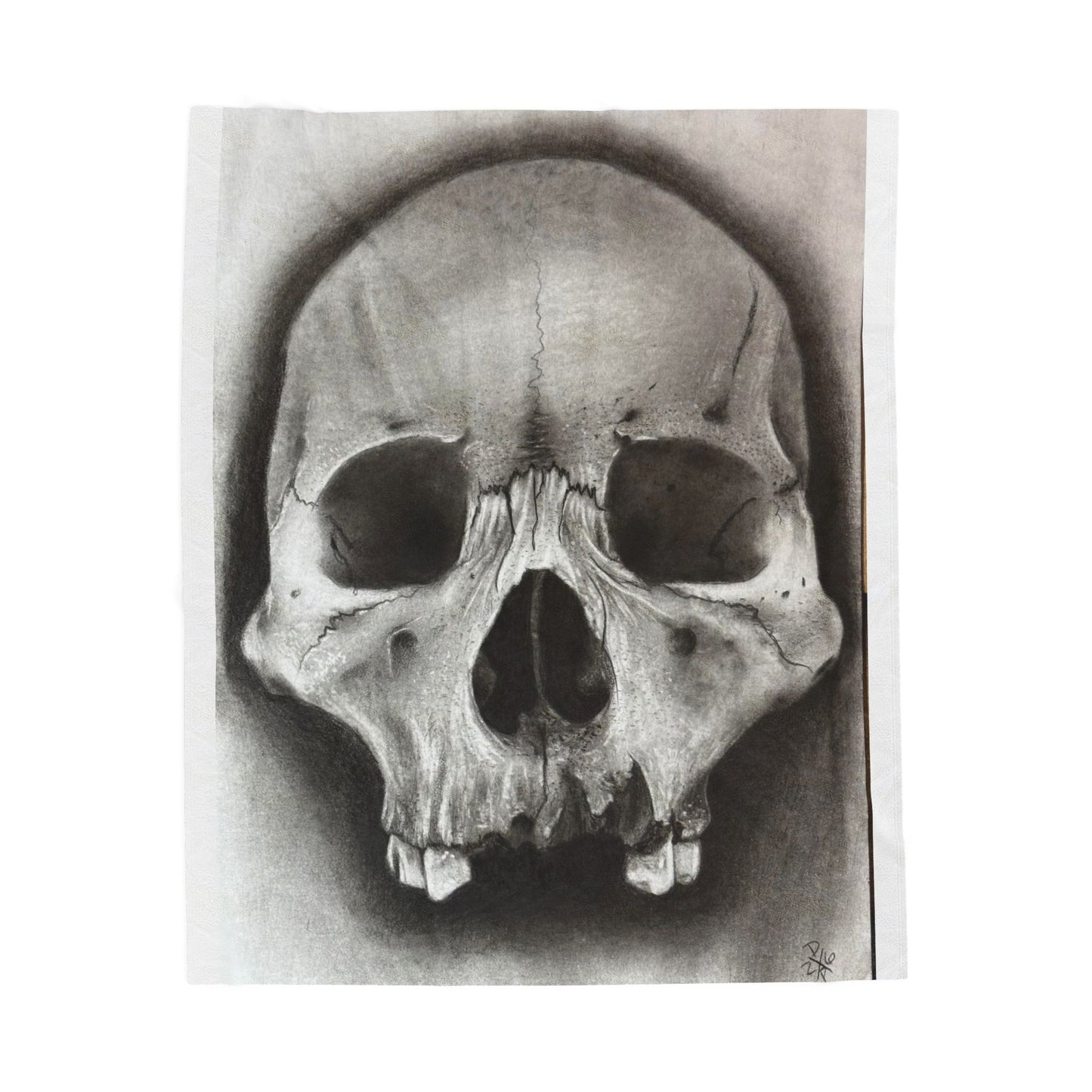 Skull Drawing Velveteen Plush Blanket | Anatomical Skull Artwork