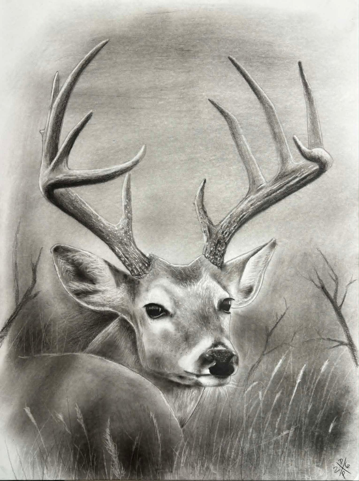 Deer Animal Charcoal Art Print Wall Hanging Home Decor Wildlife