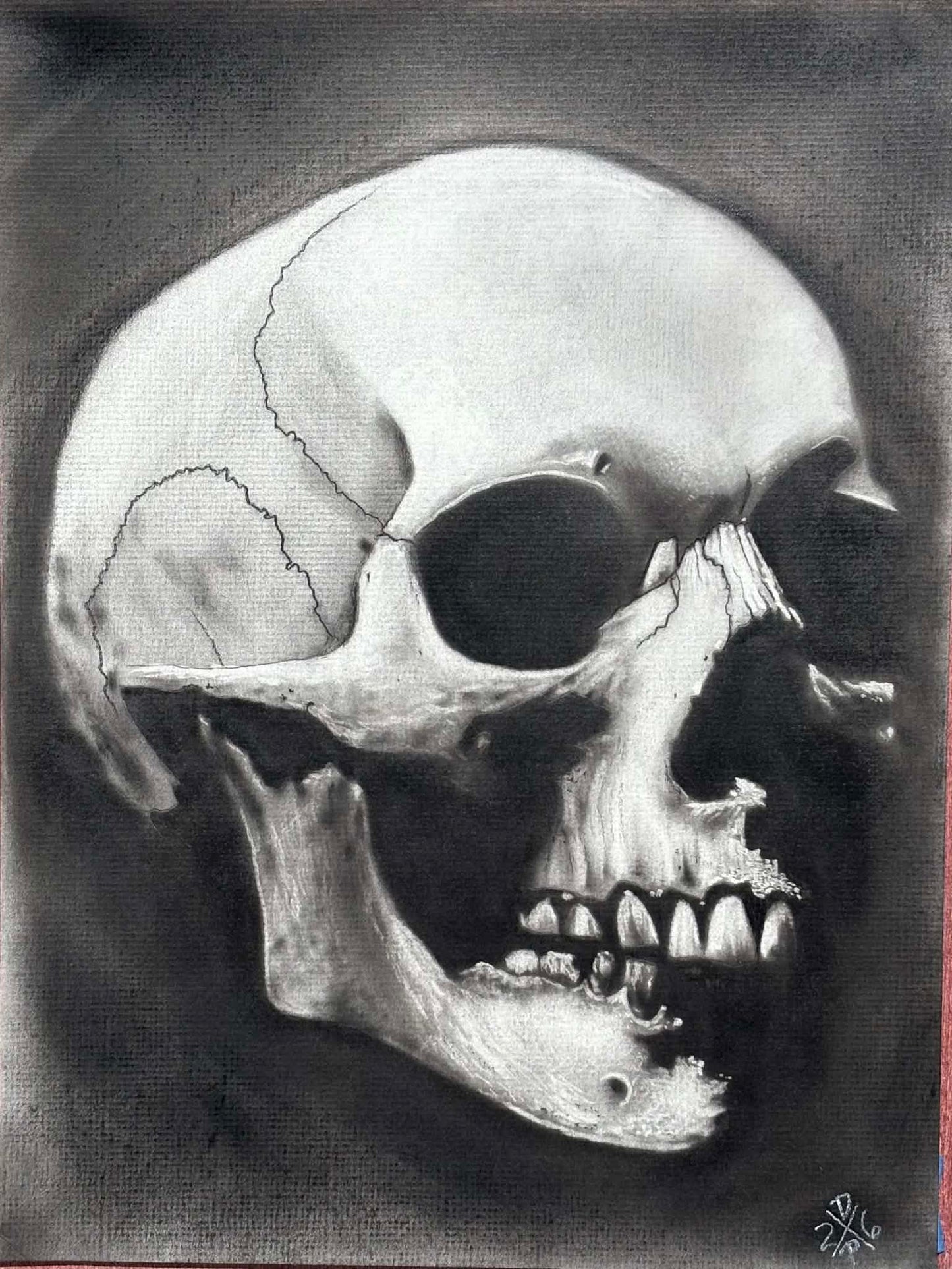 Cracked Skull Charcoal Art Print Wall Hanging Home Decor