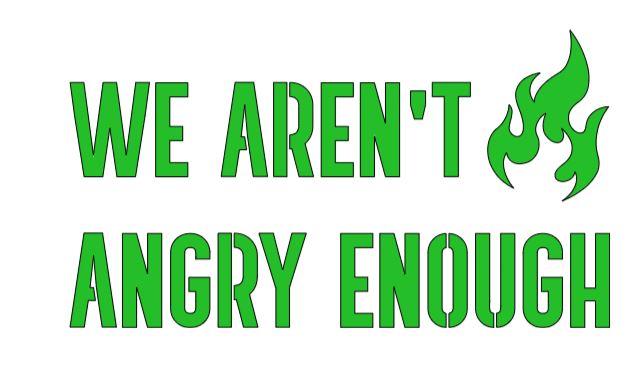 We Aren't Angry Enough Vinyl Decal Sticker