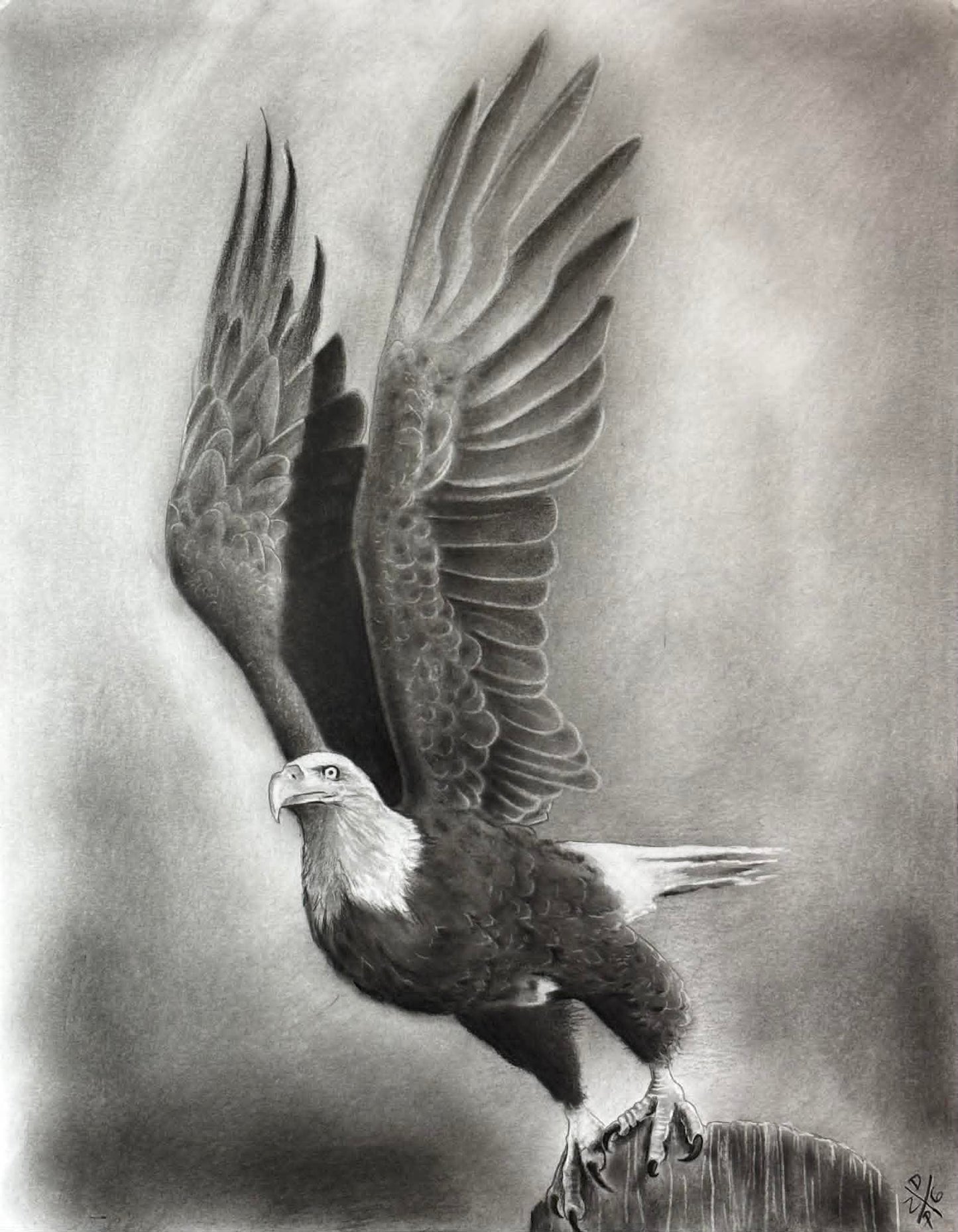 ORIGINAL Eagle Bird Animal Art Print Wall Hanging Home Decor