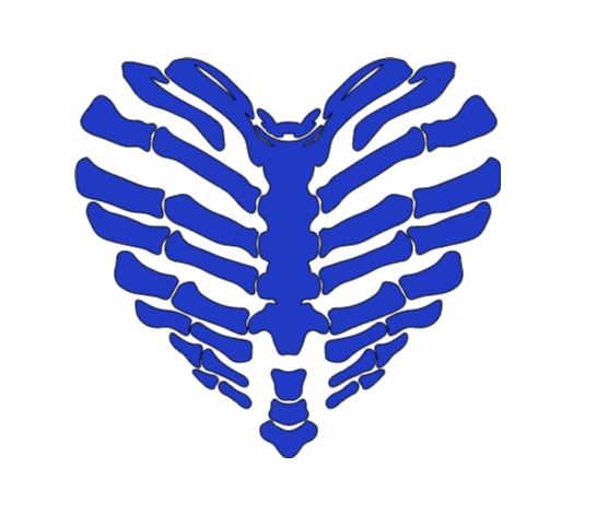 Skeleton Heart Bone Vinyl Decal Sticker Halloween Horror