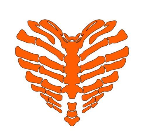 Skeleton Heart Bone Vinyl Decal Sticker Halloween Horror