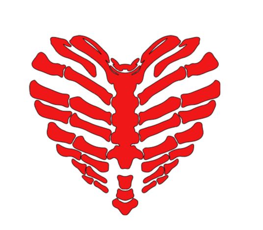 Skeleton Heart Bone Vinyl Decal Sticker Halloween Horror