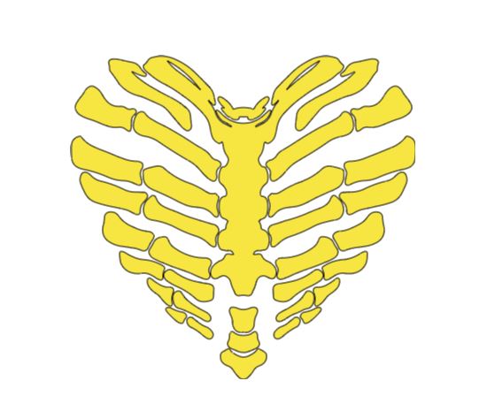 Skeleton Heart Bone Vinyl Decal Sticker Halloween Horror