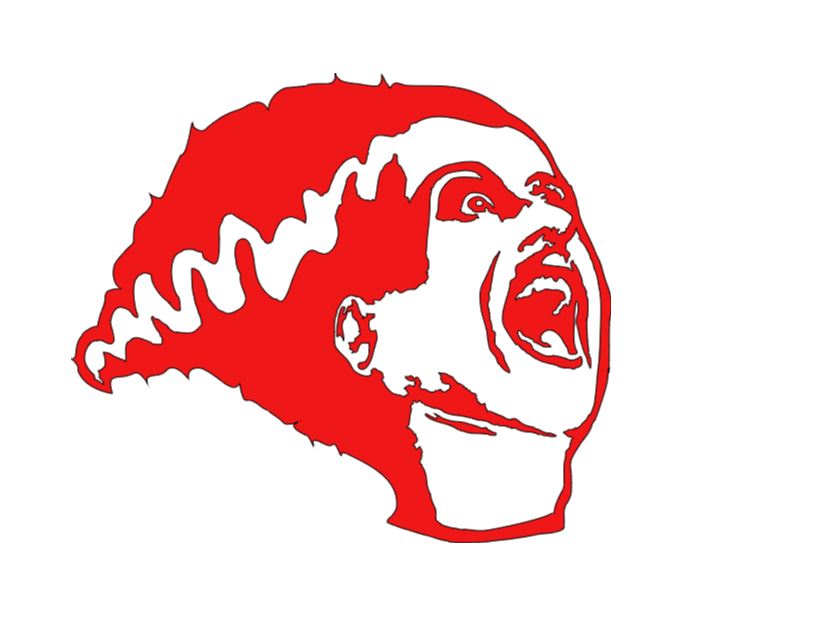 Bride of Frankenstein Universal Vinyl Decal Sticker Halloween Horror Metaphysical