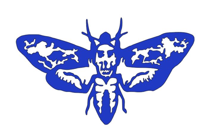 Death Moth Vinyl Decal Sticker Halloween Horror Metaphysical