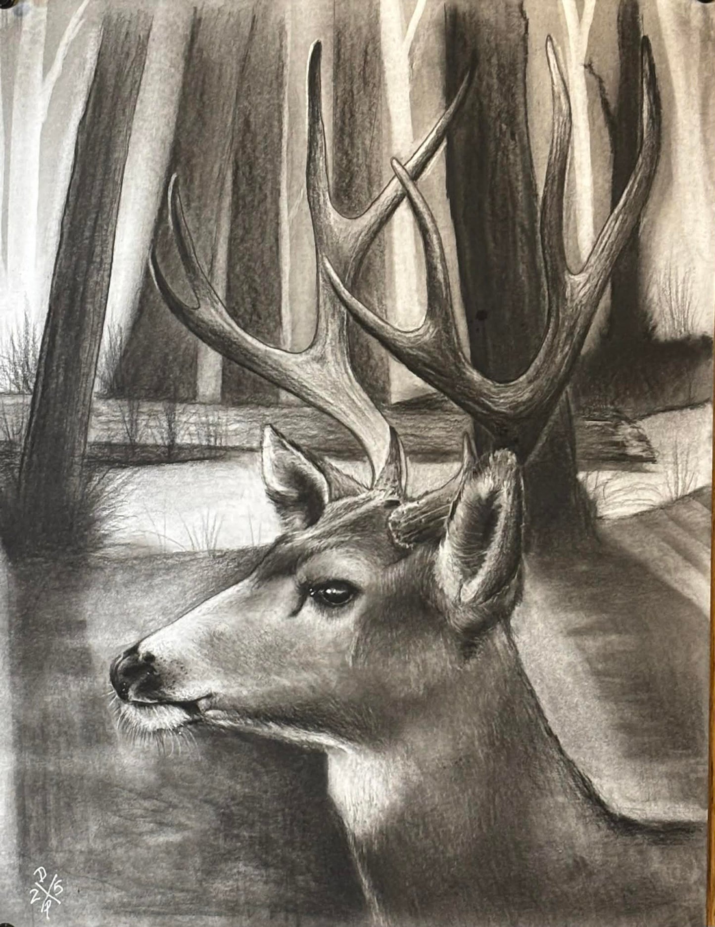Deer Animal Charcoal Art Print Wall Hanging Home Decor Wildlife