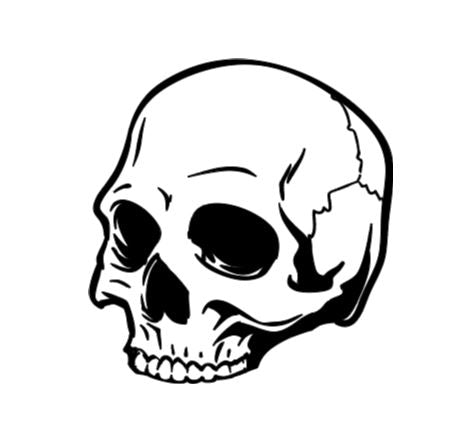 Half Broken Skull Vinyl Decal Sticker Halloween Horror Metaphysical