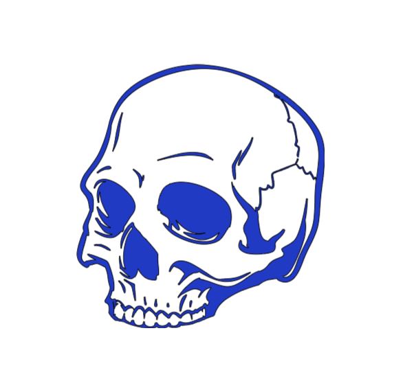 Half Broken Skull Vinyl Decal Sticker Halloween Horror Metaphysical