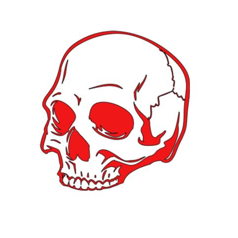 Half Broken Skull Vinyl Decal Sticker Halloween Horror Metaphysical