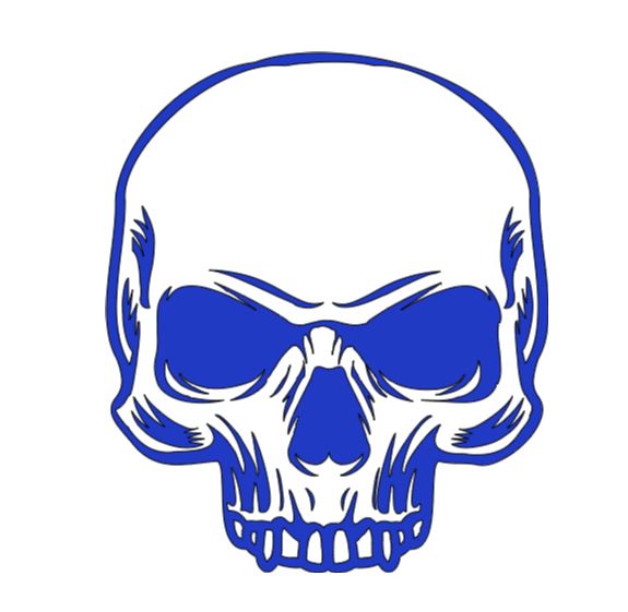 Half Skull Vinyl Decal Sticker Halloween Horror Metaphysical