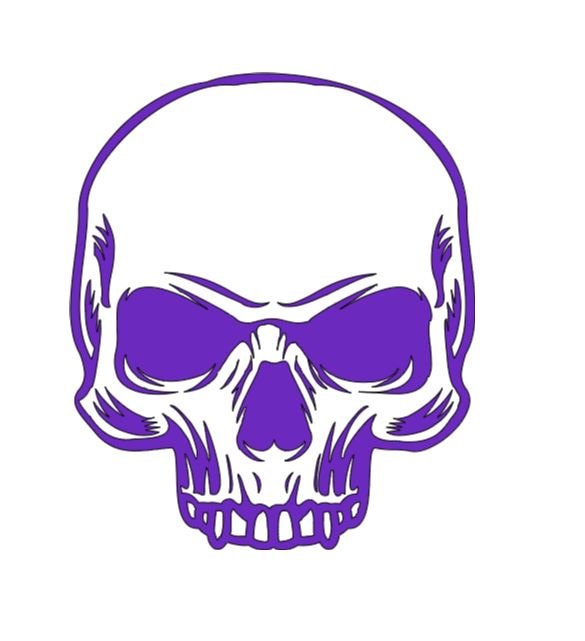 Half Skull Vinyl Decal Sticker Halloween Horror Metaphysical