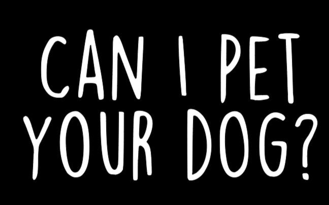 Can I Pet Your Dog? Vinyl Decal Sticker Halloween Horror Metaphysical
