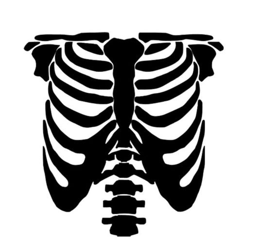 Skeleton Rib Cage Vinyl Decal Sticker Halloween Horror