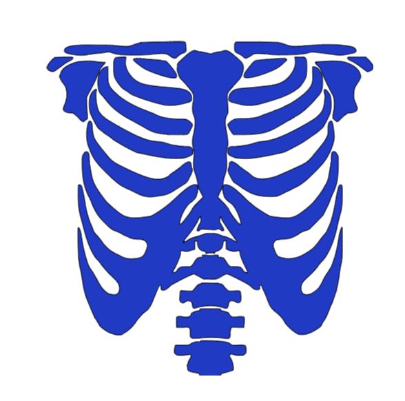Skeleton Rib Cage Vinyl Decal Sticker Halloween Horror