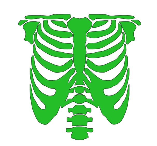 Skeleton Rib Cage Vinyl Decal Sticker Halloween Horror