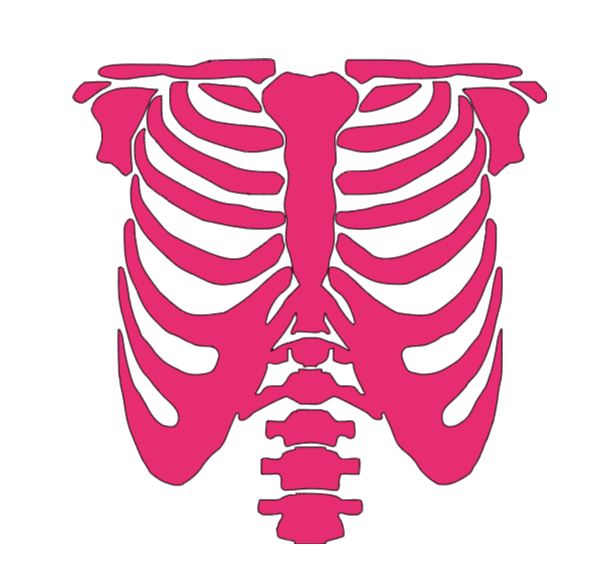 Skeleton Rib Cage Vinyl Decal Sticker Halloween Horror