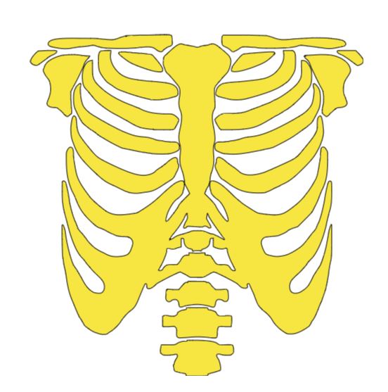 Skeleton Rib Cage Vinyl Decal Sticker Halloween Horror