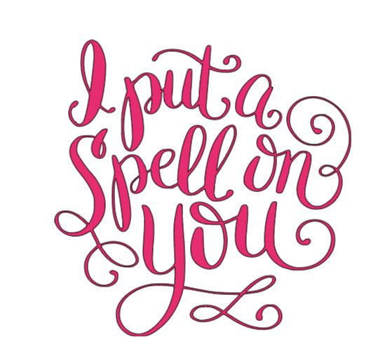 Spell on You Hocus Pocus Witch Vinyl Decal Sticker Halloween Horror Metaphysical